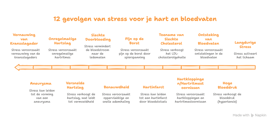 12 gevolgen van stress voor je hart en bloedvaten - ruudmeulenberg