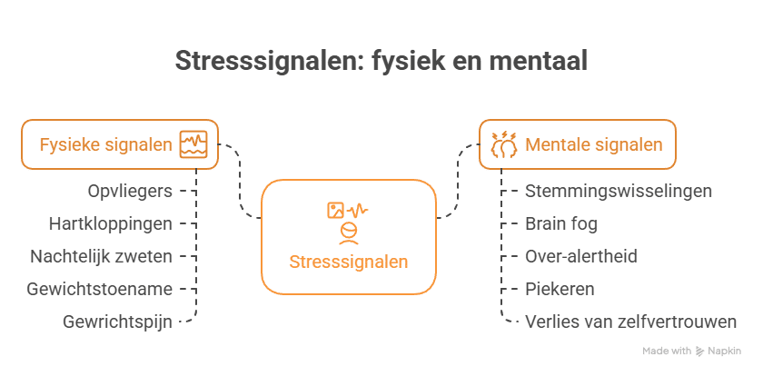 Signalen dat stress en menopauze elkaar versterken
