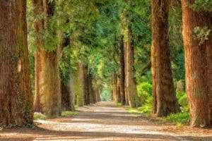Stress verminderen personeel