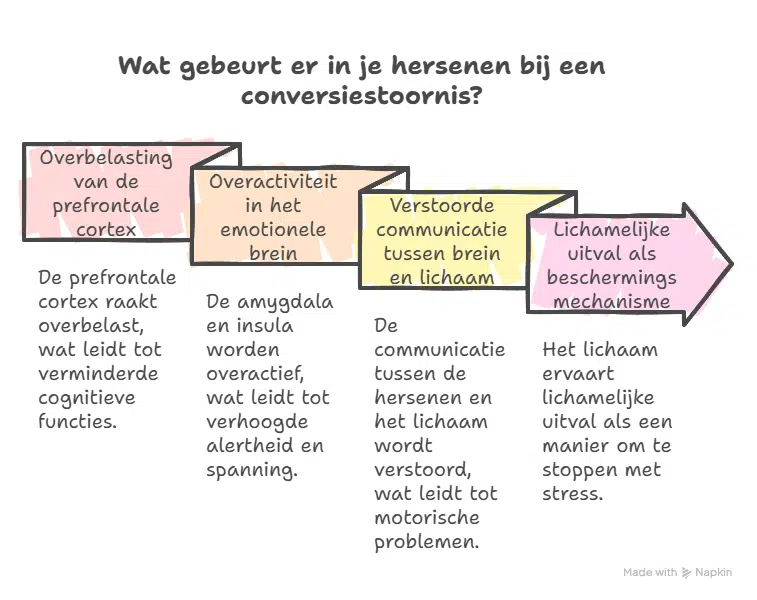 Wat gebeurt er in je hersenen bij een conversiestoornis - ruudmeulenberg