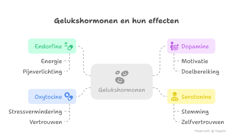 Wat zijn de vier gelukshormonen - ruudmeulenberg