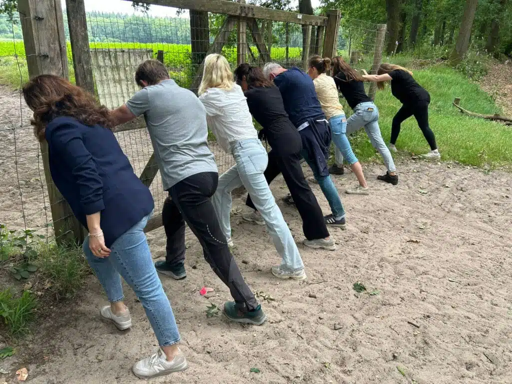 Teamcoach voor bedrijven